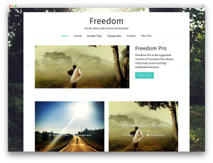 freedom-free-wordpress-portfolio-theme